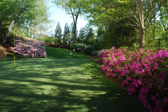 Detroit and all of Michigan backyard putting green grass with flags and pink flowers